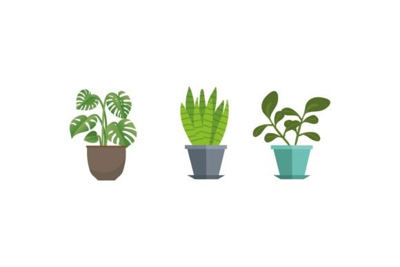 Plant Decorative Icon: Graphics & Icons Review for Sellers