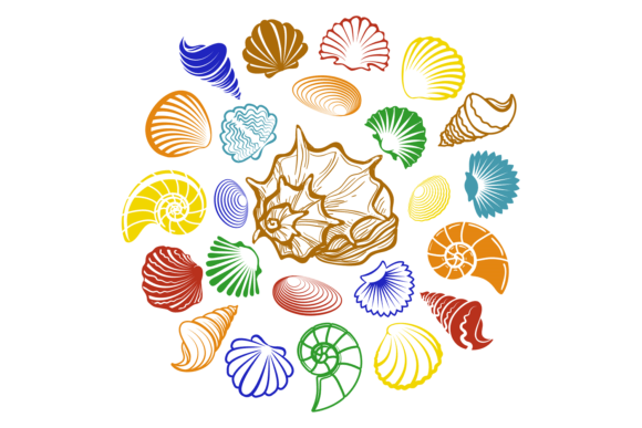 Seashells Round Composition. Decorative Graphics
